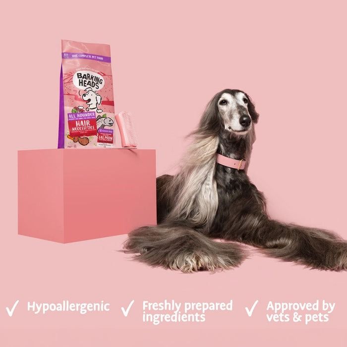 Barking Heads All Hounder Hair Necessities Salmon Dry Dog Food - 2kg
