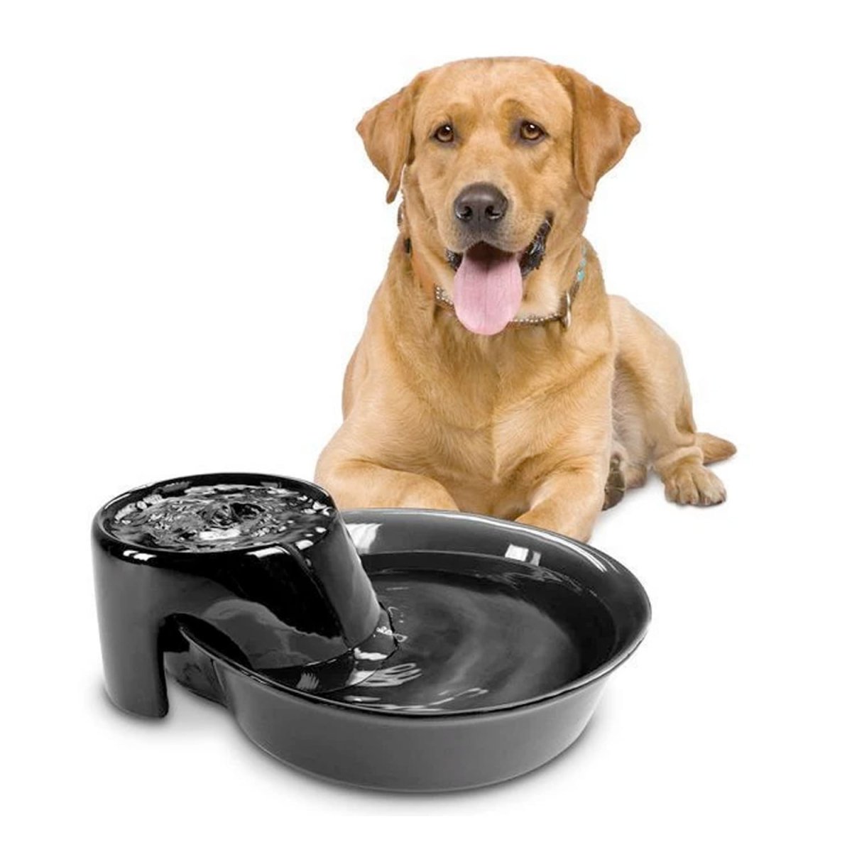 Big Max Ceramic Pet Drinking Fountain 128oz (Black) - Shopivet.com