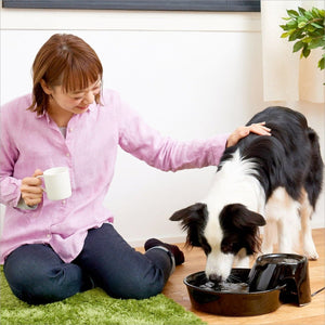 Big Max Ceramic Pet Drinking Fountain 128oz (Black) - Shopivet.com