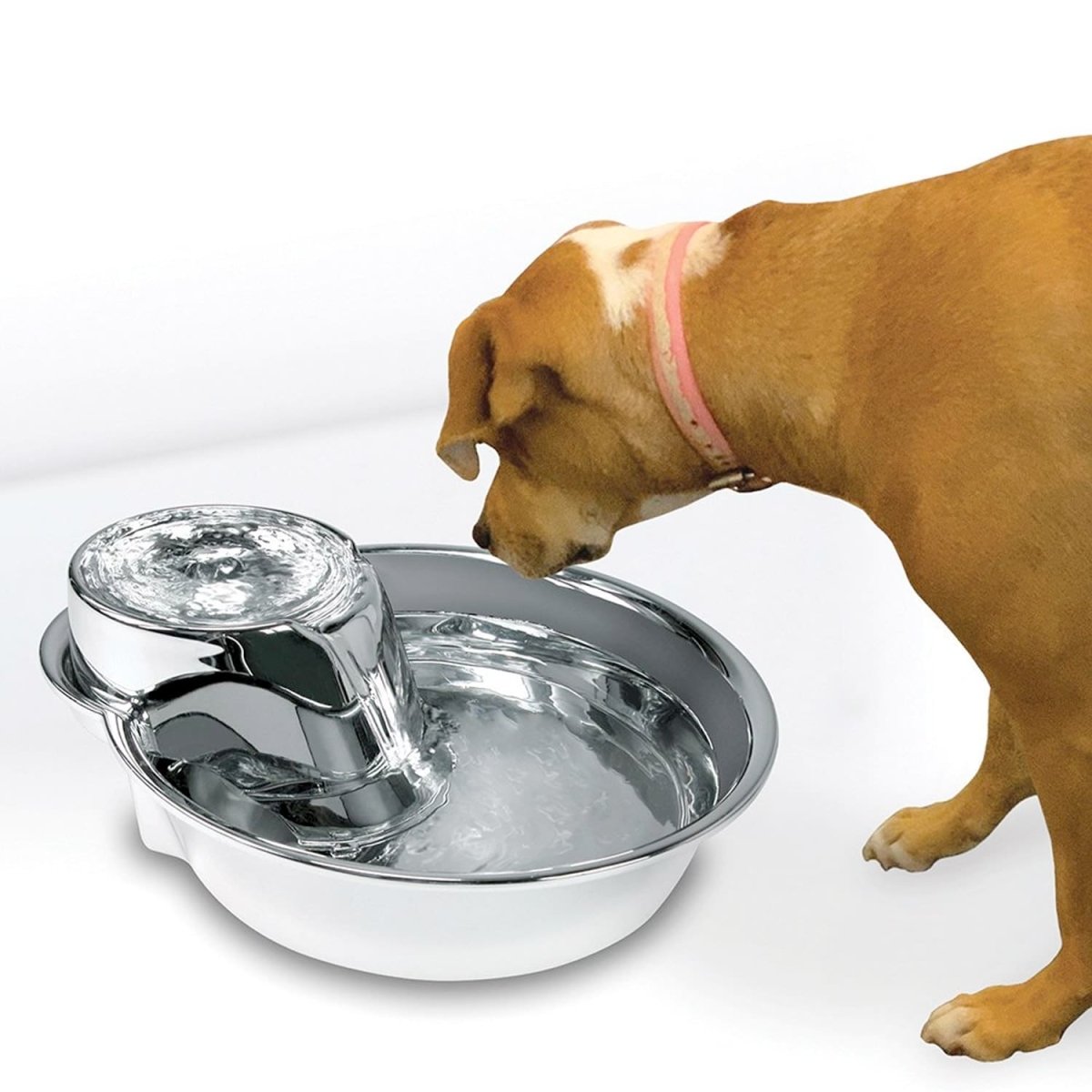 Big Max Pet Drinking Fountain 128oz – Stainless Steel - Shopivet.com