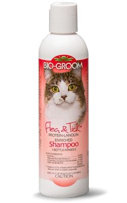 Bio - Groom Flea & Tick Protein - Lanolin Enriched Cat Shampoo 8oz - 8 oz. - Shopivet.com