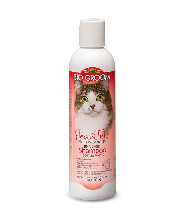 Bio - Groom Flea & Tick Protein - Lanolin Enriched Cat Shampoo 8oz - 8 oz. - Shopivet.com