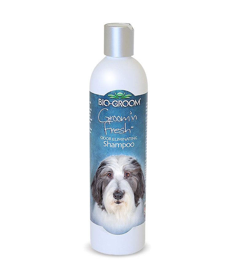 Bio - Groom Groom'n Fresh Odor Eliminating Dog Shampoo 12oz - 12 oz. - Shopivet.com