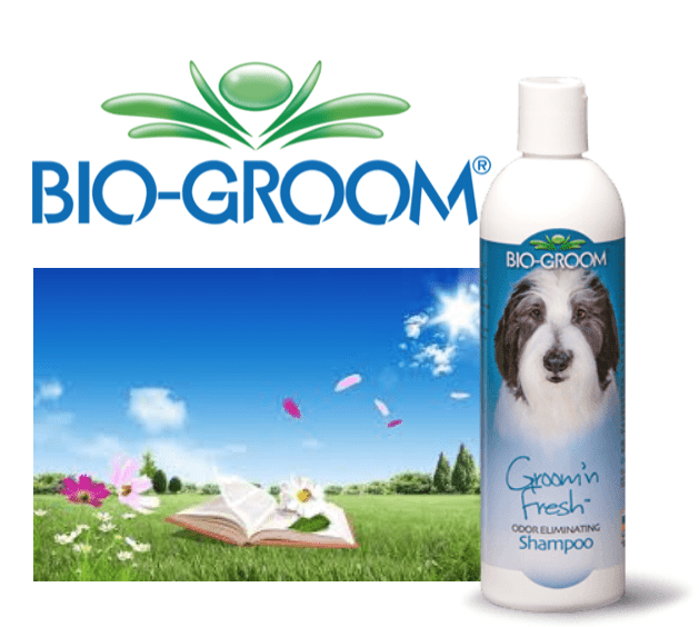 Bio - Groom Groom'n Fresh Odor Eliminating Dog Shampoo 12oz - 12 oz. - Shopivet.com