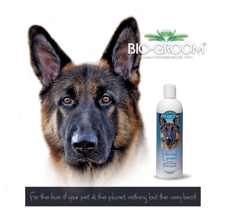 Bio - Groom Herbal Groom Botanical Infused Dog Shampoo 12oz - 12 oz. - Shopivet.com