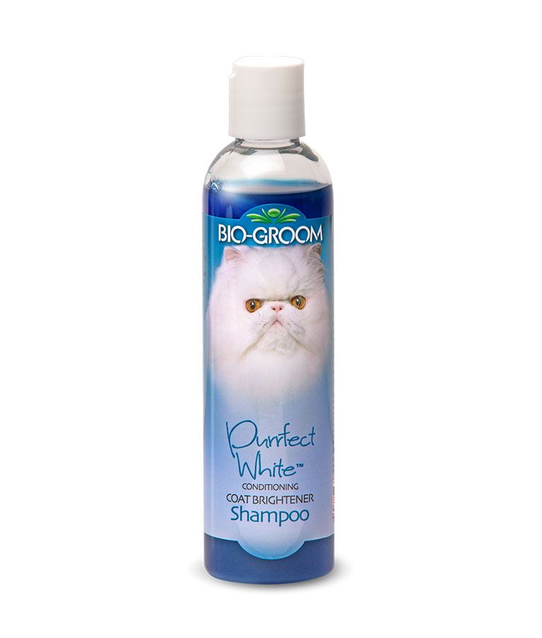 Bio - Groom Purrfect White Conditioning Coat Brightener Cat Shampoo 8oz - 8oz - Shopivet.com