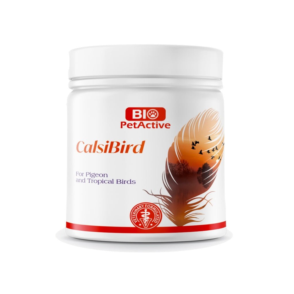 Bio PetActive Calsi Bird 200gm - Shopivet.com