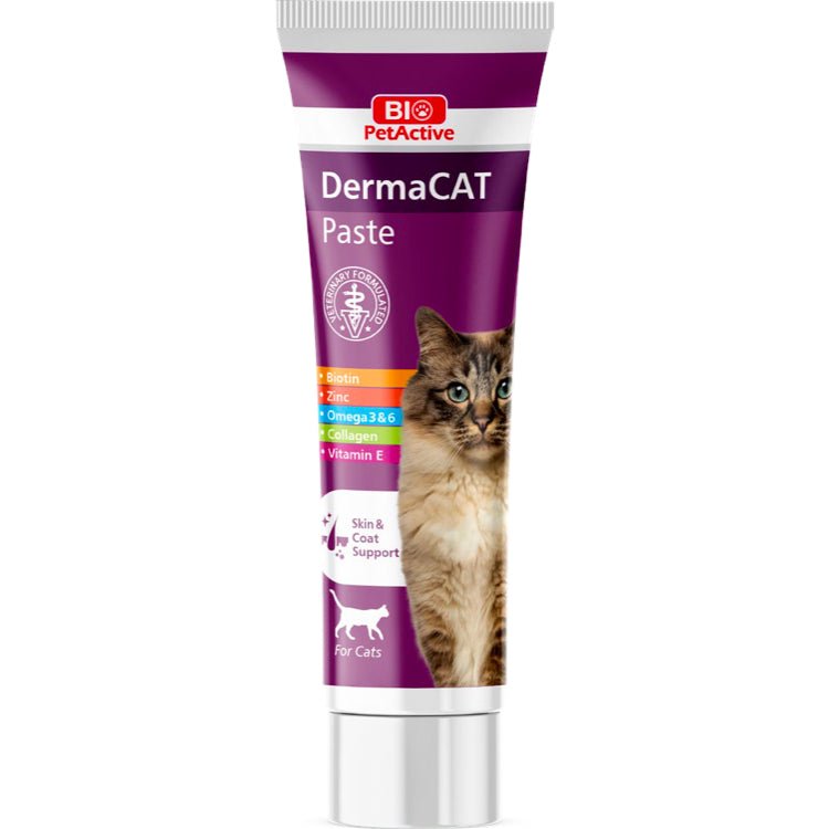 Bio PetActive Dermacat Paste Skin & Coat Support for Cats 100ml - Shopivet.com