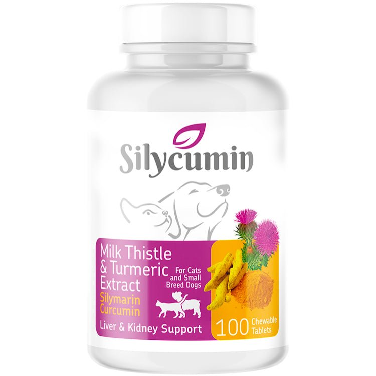 Bio PetActive Silycumin Milk Thistle and Turmeric Extract 100tabs for Cats and Small Breed dogs - Shopivet.com