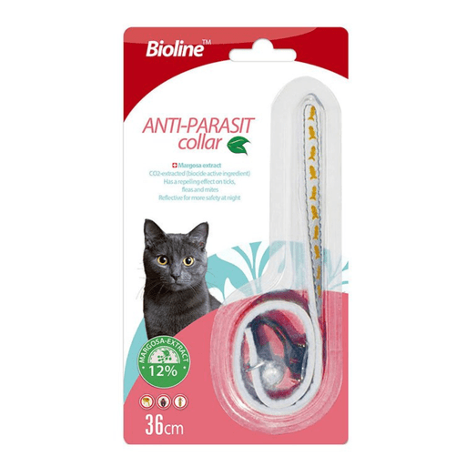 Bioline Cat Collar 36cm - Shopivet.com