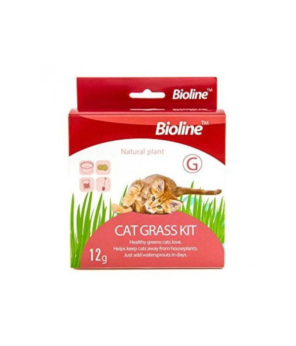 Bioline Catgrass Kit 12g [Dimension - 5.4 x 13.4 x 12.2cm] - Shopivet.com