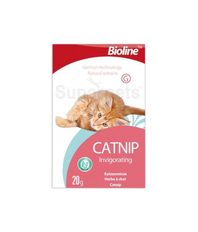 Bioline Catnip[Weight - 20g] - Shopivet.com