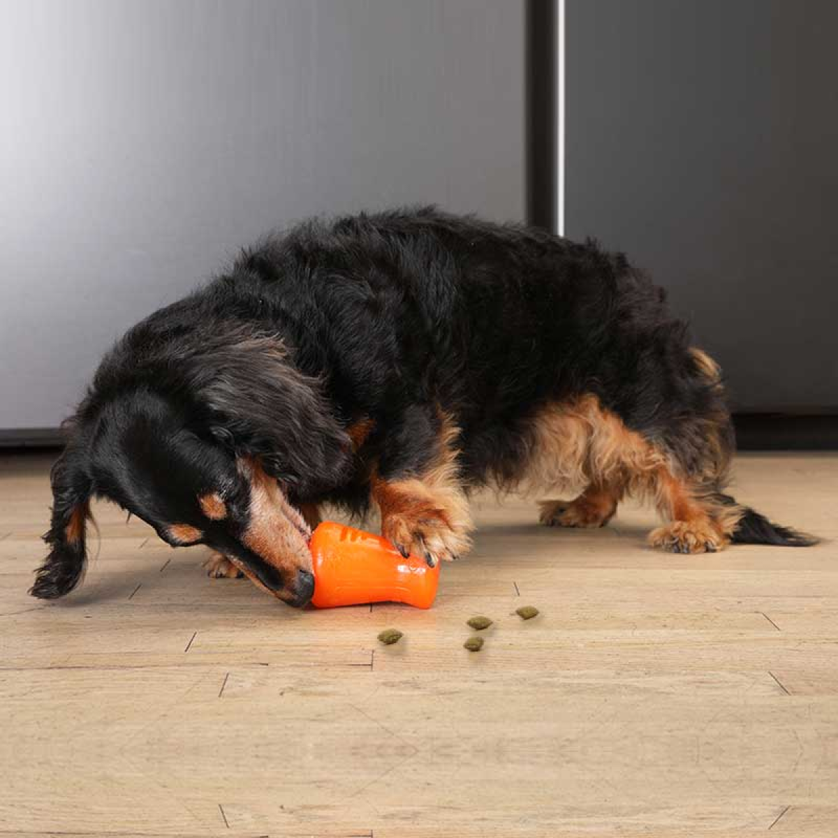 BIONIC Treat Shaker, Medium 14 cm