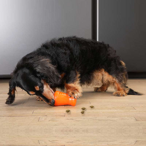 BIONIC Treat Shaker, Small 12 cm