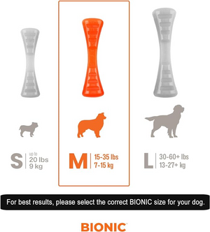 BIONIC Urban Stick, Medium, 23cm