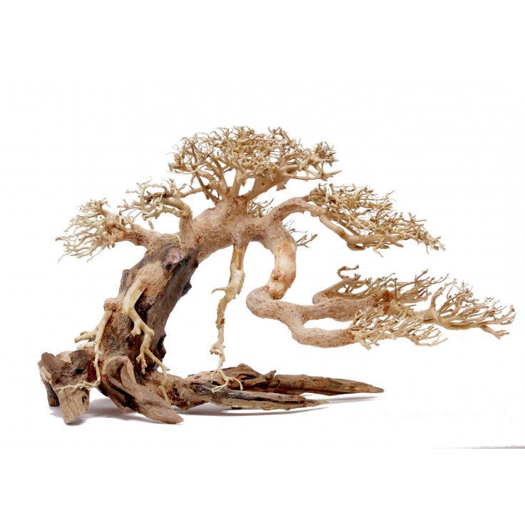 BONSAI WOOD - MEDIUM LARGE / 35X25X18CM / BOX - Shopivet.com