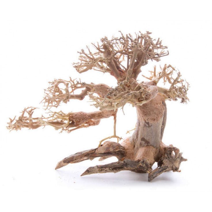 BONSAI WOOD - MEDIUM SMALL / 25X20X15CM / BOX - Shopivet.com