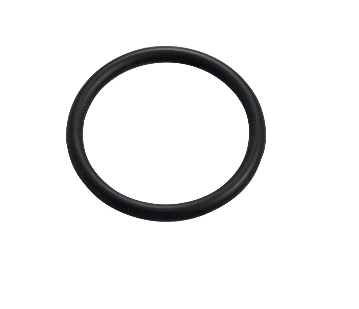 BOVIVET O-ring for stomach pump (190190)