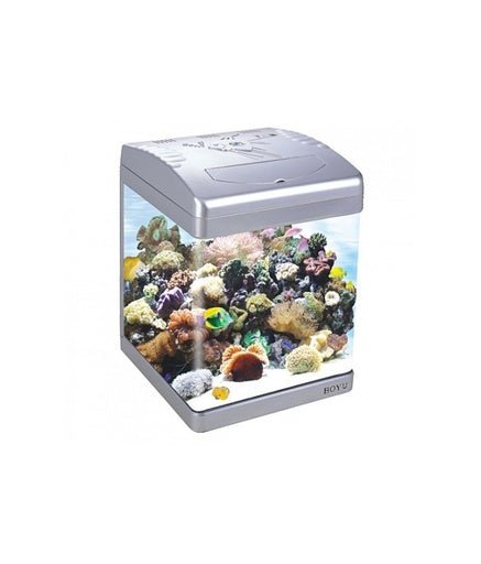 Boyu Aquarium 310Lx330Wx455Hmm - [ASD - 320LD] - 31L - Shopivet.com