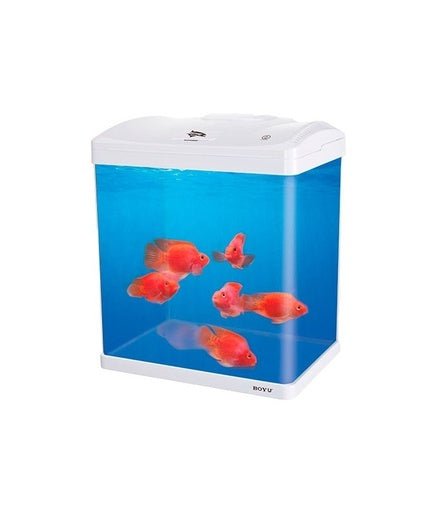 BOYU AQUARIUM 44X32.5X50.80CM - Shopivet.com