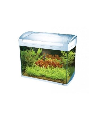 Boyu Aquarium 535Lx323Wx420Hmm - [ZJ - 401A] - 48L - Shopivet.com