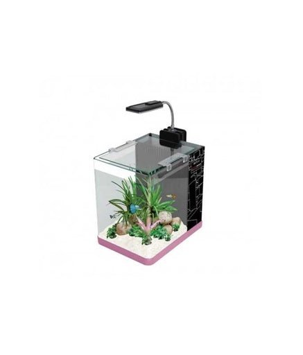 Boyu Arts Led Aquarium - Mixed Colors[Dimension - 35 x 21x 26 cm] - Shopivet.com