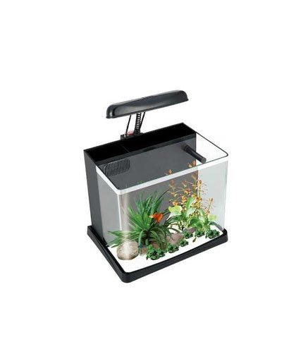 Boyu Joyful Home Aquarium[Dimension - 35 x 21x 26 cm] - Shopivet.com