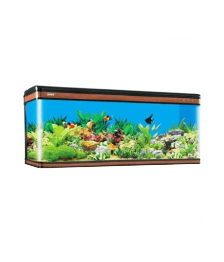 Boyu LZ - 2000 Aquarium (2029L x 600W x 850H mm) without Cabinet - Shopivet.com