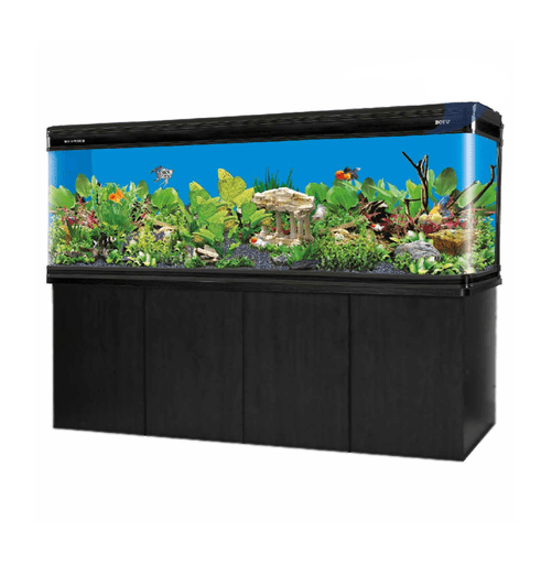 Boyu Modern Aquarium With Cabinet 1529Lx600Wx730Hmm LZ - 1500 - Black - Shopivet.com