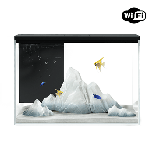Boyu Pawgether GR - 2s WIFI Desktop Aquarium 450x250x325mm (30L) - Shopivet.com