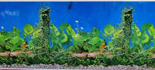Boyu Plastic Background Paper 60cm x 15m - Shopivet.com