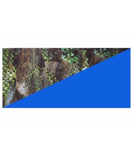 Boyu Plastic Double Sides Background Paper 40cm x 15m[Length - 40cm] - Shopivet.com