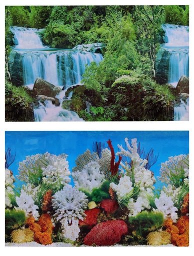 Boyu Plastic Double Sides Background Paper 60cm x15m - Shopivet.com