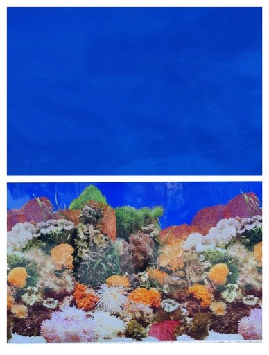 Boyu Plastic Double Sides Background Paper 60cm x15m - Shopivet.com