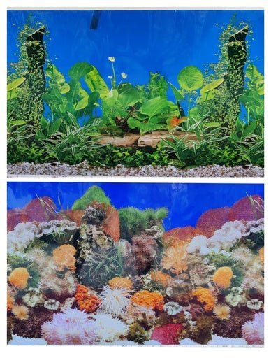 Boyu Plastic Double Sides Background Paper 60cm x15m - Shopivet.com