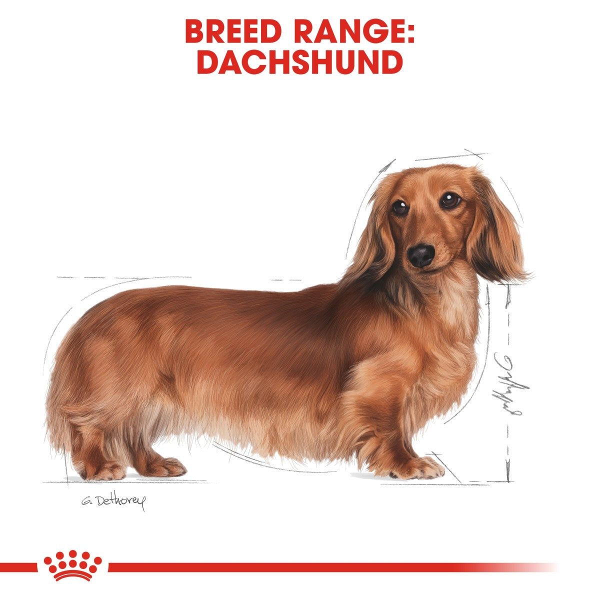 Breed Health Nutrition Dachshund Adult (WET FOOD - Pouches) 12 x 85g