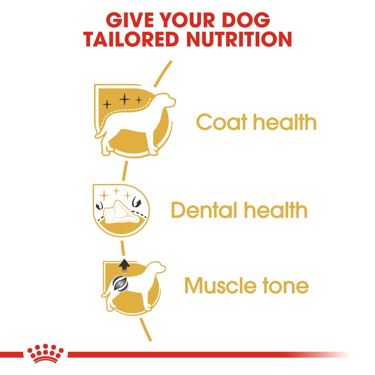 Breed Health Nutrition Poodle Adult 1.5 KG