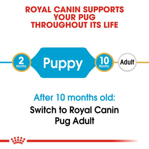 Breed Health Nutrition Pug Puppy 1.5 KG