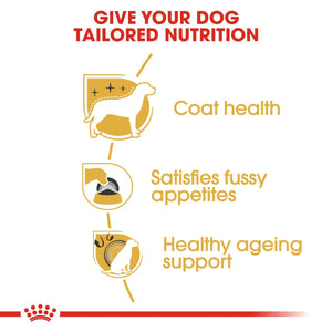 Breed Health Nutrition Yorkshire Adult 1.5 KG