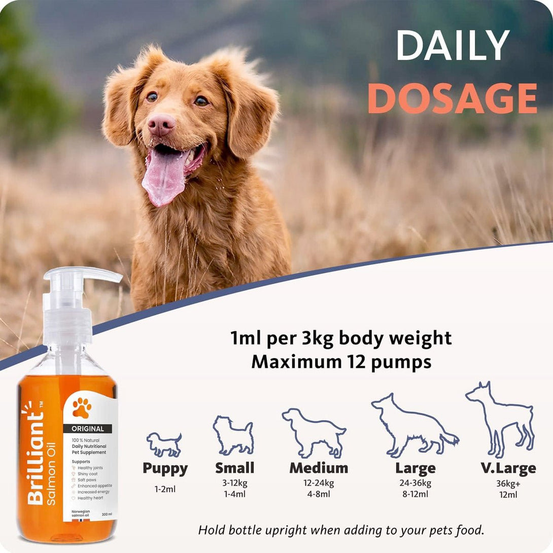 Brilliant Salmon Oil for Dogs and Cats - 1000 ml - Shopivet.com