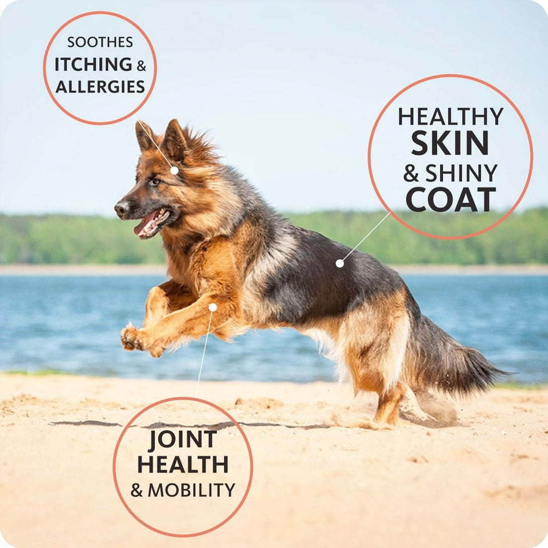 Brilliant Salmon Oil for Dogs and Cats - 1000 ml - Shopivet.com