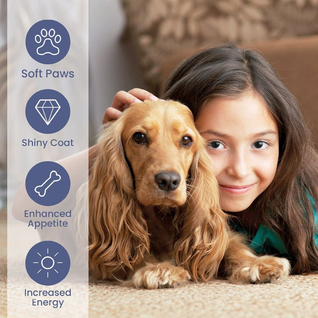 Brilliant Salmon Oil for Dogs and Cats - 1000 ml - Shopivet.com