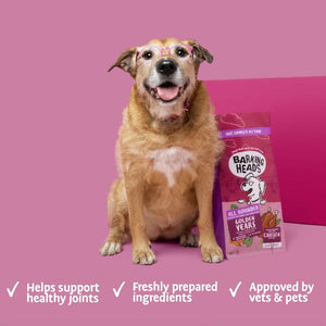 Barking Heads All Hounder Golden Years Chicken Dry Dog Food - 2kg