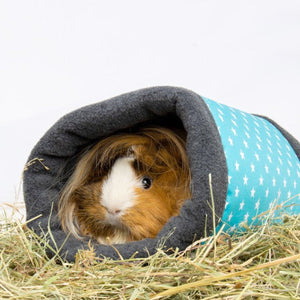 Bunny Nature Fleecy – Turquoise - Shopivet.com