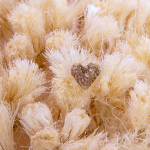 Bunny Nature SNUFFLEBOARD - Shopivet.com