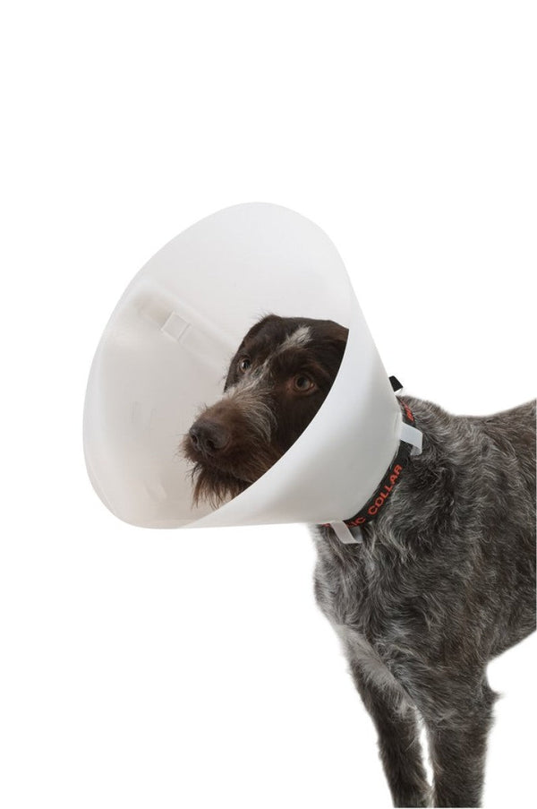 BUSTER Classic Dog Collar, 30 cm, 10/pk