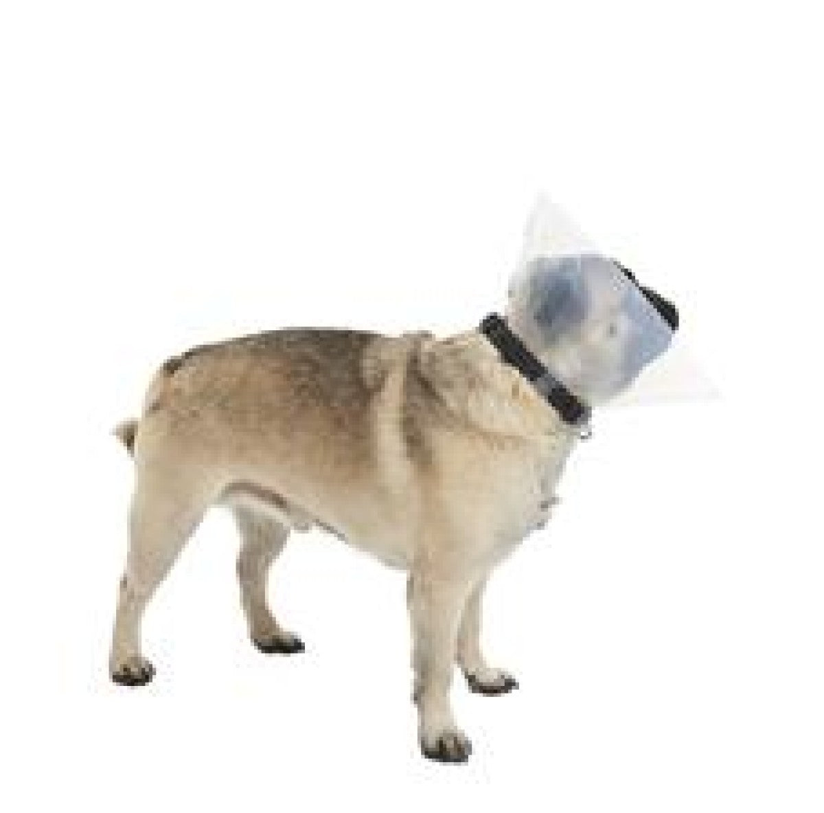 Buster collar Brachycephalic S 6-9kg 10/pk