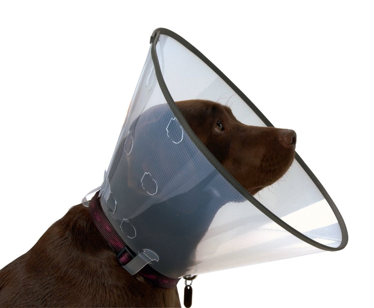 BUSTER Comfort Collar 12.5 cm, 5/pk