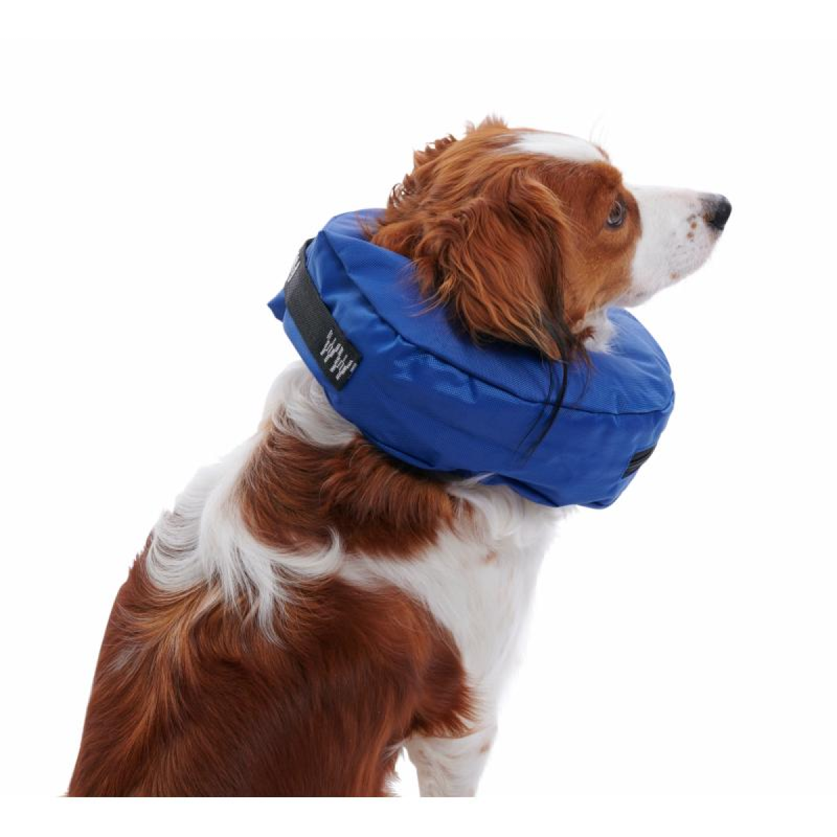 BUSTER Inflatable Collar, nylon, blue, XXL