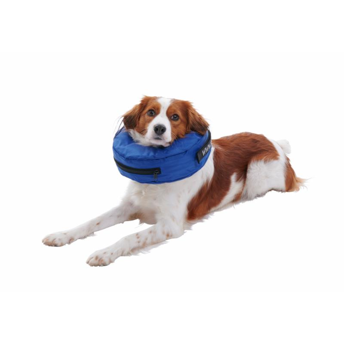 BUSTER Inflatable Collar, nylon, blue, XXL